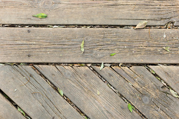Obraz premium paving from old boards with green leaves