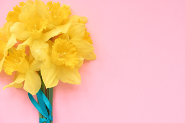 bouquet of daffodils on a pink background