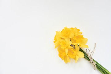 bouquet of daffodils on a white background