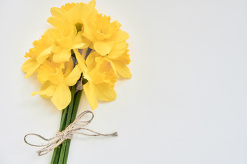 bouquet of daffodils on a white background