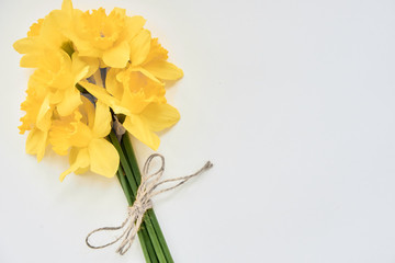 bouquet of daffodils on a white background