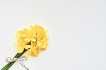 Fototapeta na wymiar bouquet of daffodils on a white background
