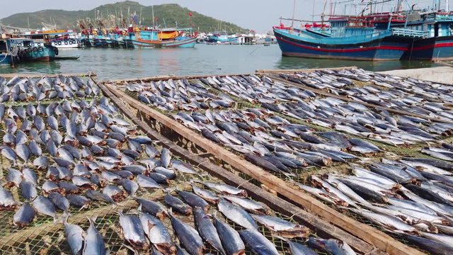 Cinematic dried catch sardine fish on pallets nets. Ships moored old fishing. Production traditional market marine style fishing Village. Authentic Asia Vietnam. Dolly Gimbal drift