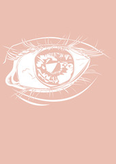 Beautiful woman eye vector makeup