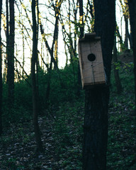 birdhouse on tree