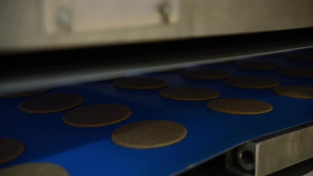 Close up static shot of flat uncooked dough circles rolling along food production line bread making factory in automated conveyor belt.