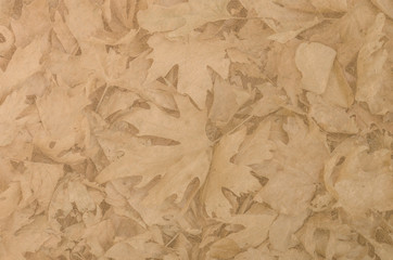Illustration, pale brown textured surface with minimum leaf relief and a slight hint of sparkle.  