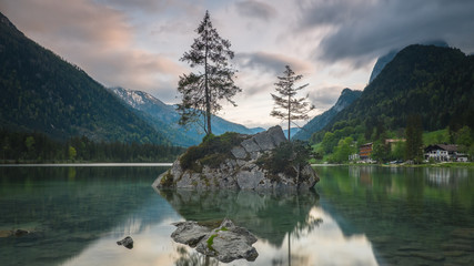 Drzewa na skale na jeziorze Hintersee - obrazy, fototapety, plakaty