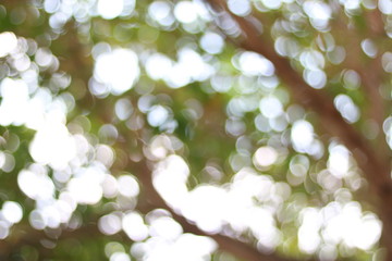 Blur bokeh./ Sparkling green, yellow, bright red, bright orange.