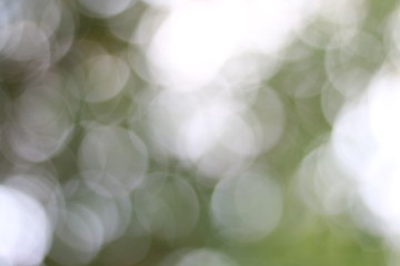 Obraz premium Blur bokeh./ Sparkling green, yellow, bright red, bright orange.