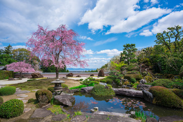 京都　正法寺（しょうぼうじ）の石庭と紅枝垂れ桜　