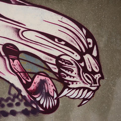Fragment of colored street art graffiti paintings with contours and shading close up