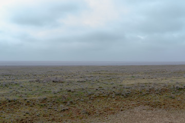 Landscape of wild Kalmyk steppe in a fog