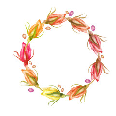 flower, pink, nature, floral, spring, red, leaf, white, blossom, beauty, summer, bud, design, art, bouquet, decoration, illustration, koala, wedding, holiday, decor, purple, botany, flora, watercolor,