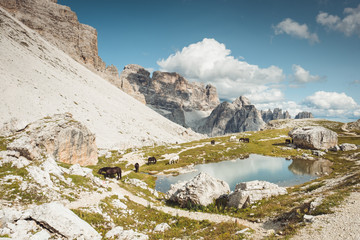 Błękitne niebo nad górską doliną i jeziorem Tre Cime di Lavaredo przy którym odpoczywają...