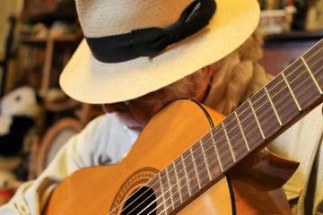 Musician playing the guitar