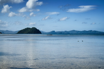 Small tropical garden. Vacation and holidays.