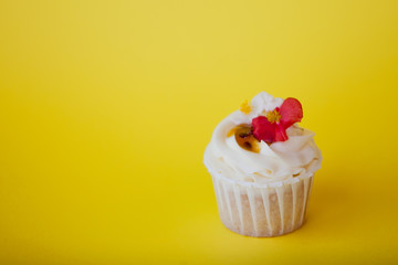 Sweet dessert on pink background, copy space. Cupcake with cream, beautiful and delicious.