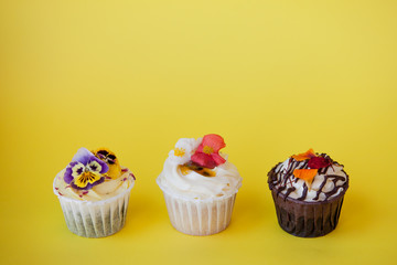 set of delicious cupcakes with different fillings and cream. Three muffin's with cream