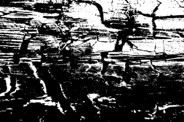 Old grunge monochrome black and white background. The texture consists of wood, lines, spots, dirt, streaks, dotsburnt tree and coal.Illustration.