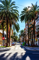 Valencia street palms sun hot - obrazy, fototapety, plakaty