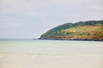  landscape Nature sea flower Background