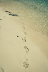 Road and path. Footprints Summer and vacation time.