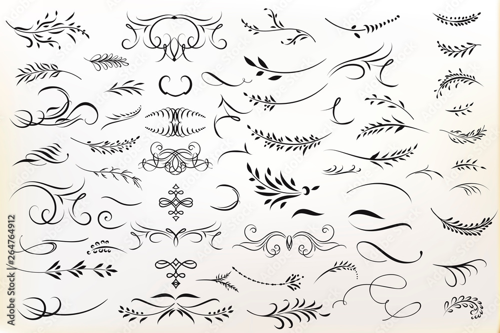 Canvas Prints big collection of vector calligraphic flourishes for design