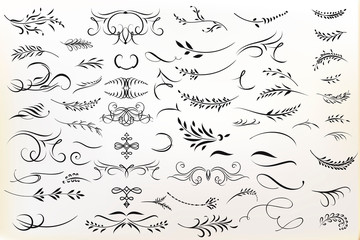 Fototapeta Big collection of vector calligraphic flourishes for design obraz
