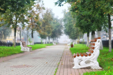 summer park city fog / beautiful city landscape
