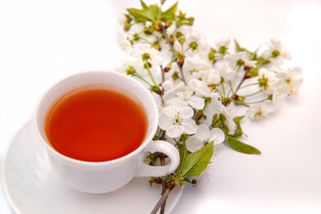 cup with tea and a blooming twig of cherry