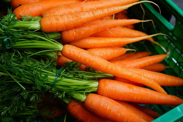Fresh carrots for sale at a farmers market