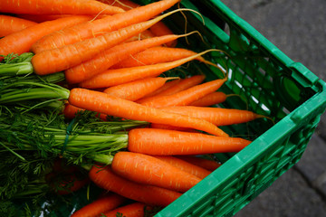 Fresh carrots for sale at a farmers market