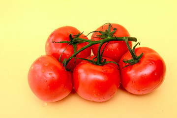 On a yellow background, red tomatoes on a green branch in dew drops. Concept - healthy food