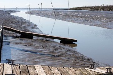 Steg im Schlick an der Elbe