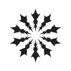 Black star complex forms. Fireworks isolated on white background.