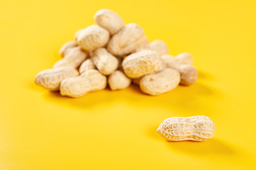 Fototapeta na wymiar peanuts with one opened and close up