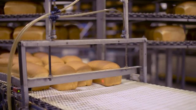 Machine sorting fresh loaves into rows on a conveyor belt by blocking them as they move through