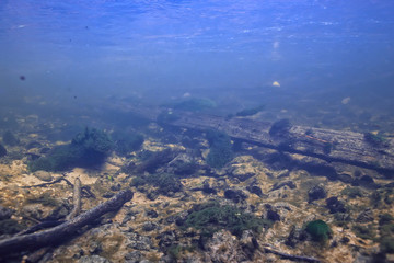 underwater landscape transparent lake / fresh water ecosystem unusual landscape under water
