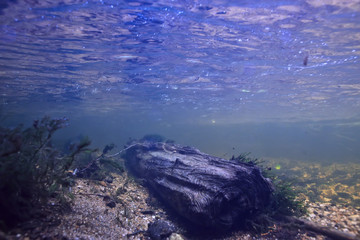 underwater mountain clear river / underwater photo in a freshwater river, fast current, air bubbles by water, underwater ecosystem landscape