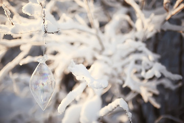winter landscape in the forest / snowy weather in January, beautiful landscape in the snowy forest, a trip to the north