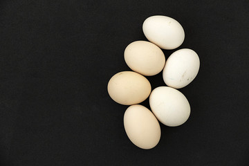 eat organic village chicken eggs for your health, organic poultry eggs and artificial farm eggs,