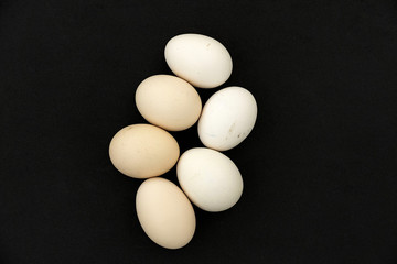 organic village eggs and artificial farm eggs, Which is better for your health, 