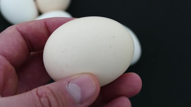 village eggs, healthy eggs are much healthier than farm eggs,
