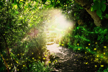 Fototapeta premium Road and stone stairs in magical and mysterious dark forest with mystical sun light and firefly. Fairy tale concept