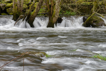 blurred image of the movement of water in a beautiful forest river with a waterfall