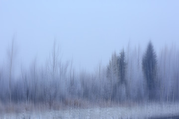 abstract forest blurred winter vertical lines / winter forest background, abstract landscape