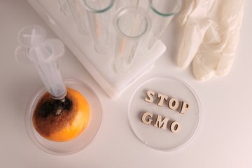 Stop GMO in the petri dish. Laboratory test tubes for experiments with citrus. Moldy tangerine on the table with a syringe. Medical background with white gloves. View from above.