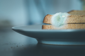 Fototapeta na wymiar Rotten food: Moldy toast slices on a plate.