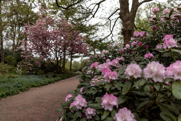 Der Park Planten un Blomen in Hamburg